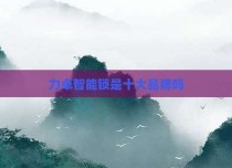 力卓智能锁是十大品牌吗