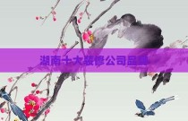 湖南十大装修公司品牌