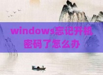 windows忘记开机密码了怎么办