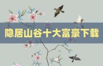 隐居山谷十大富豪下载