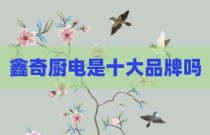 鑫奇厨电是十大品牌吗