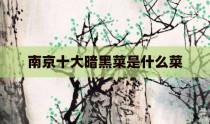 南京十大暗黑菜是什么菜