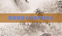 安徽芜湖十大特产是什么