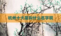 杭州十大菜叫什么名字啊