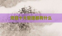 项目十大管理都有什么