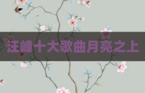汪峰十大歌曲月亮之上