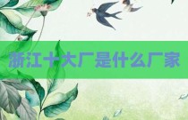 浙江十大厂是什么厂家