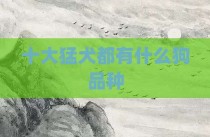 十大猛犬都有什么狗品种