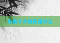 东夷十大姓氏是什么