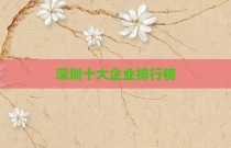 深圳十大企业排行榜