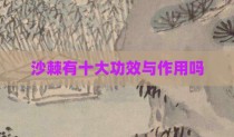 沙棘有十大功效与作用吗