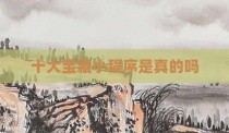 十大宝藏小程序是真的吗