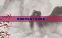 康橙壁材是是十大品牌吗