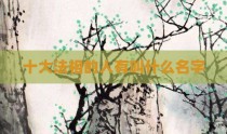 十大法相的人有叫什么名字