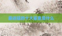 最凶猛的十大鲨鱼是什么