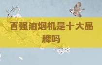 百强油烟机是十大品牌吗