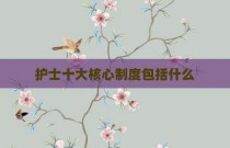 护士十大核心制度包括什么