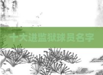 十大进监狱球员名字