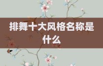 排舞十大风格名称是什么