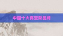 中国十大真空泵品牌