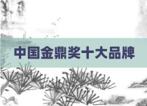 中国金鼎奖十大品牌