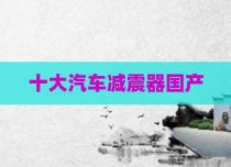 十大汽车减震器国产