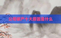 公司破产十大原因是什么