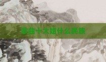 歌曲十大姐什么民族