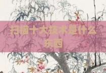 扫描十大技术是什么东西