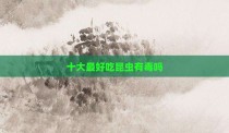 十大最好吃昆虫有毒吗