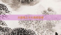 川藏线上十大商机在哪