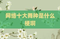 网络十大舞种是什么梗啊