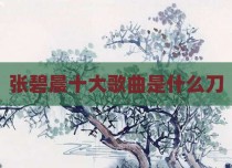 张碧晨十大歌曲是什么刀