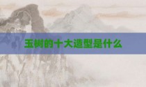 玉树的十大造型是什么