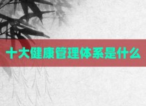 十大健康管理体系是什么