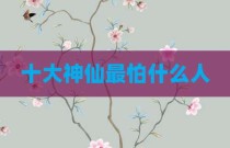 十大神仙最怕什么人