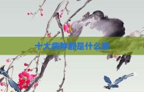 十大病种都是什么病
