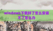 windows下载好了怎么安装不了怎么办