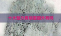 十大魅力男明星国外有吗