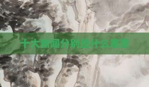 十大新闻分别是什么意思