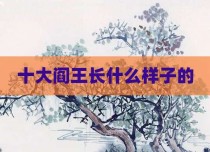 十大阎王长什么样子的