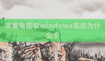 苹果电脑装windows系统为什么卡