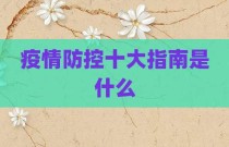 疫情防控十大指南是什么