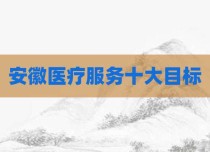 安徽医疗服务十大目标