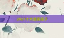 2021十大搞笑段子