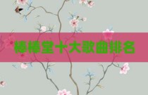 棒棒堂十大歌曲排名