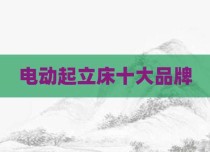 电动起立床十大品牌