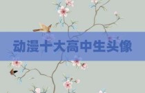 动漫十大高中生头像