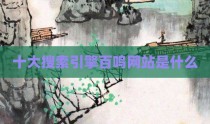 十大搜索引擎百鸣网站是什么