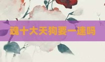 魂十大天狗要一速吗